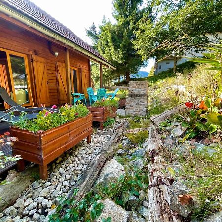 Chalet Des Feignes La Bresse Dış mekan fotoğraf