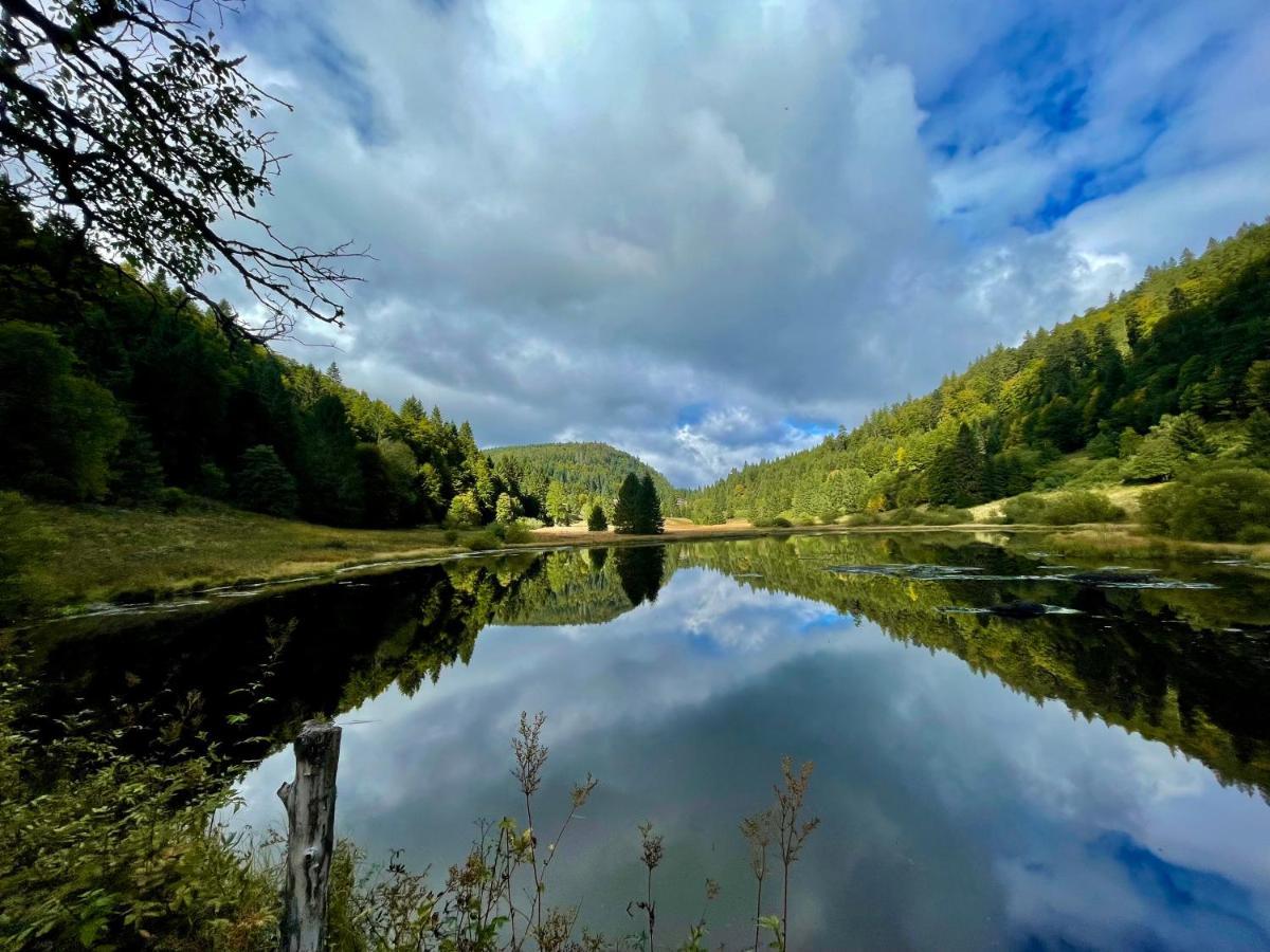 Chalet Des Feignes La Bresse Dış mekan fotoğraf
