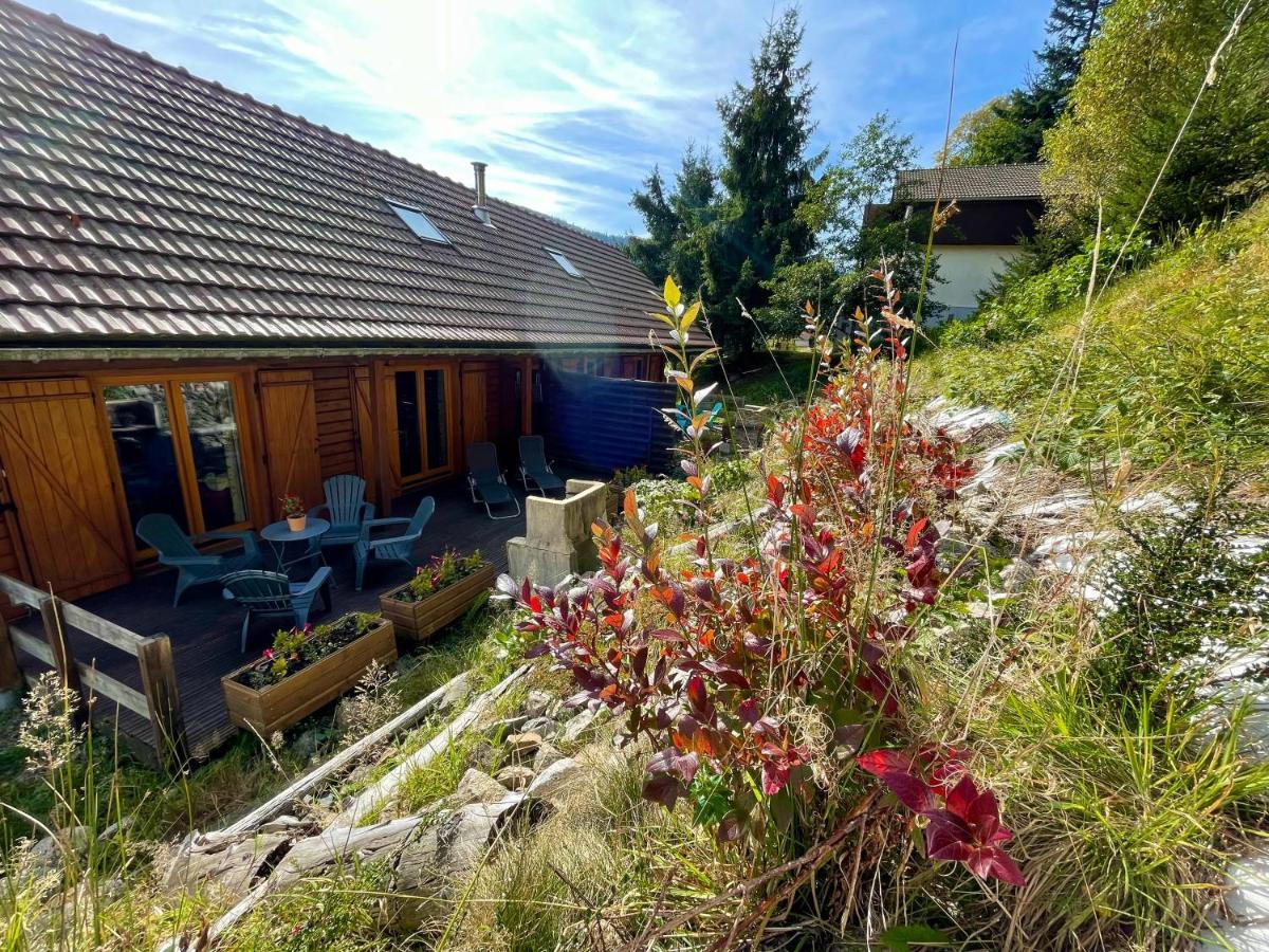 Chalet Des Feignes La Bresse Dış mekan fotoğraf