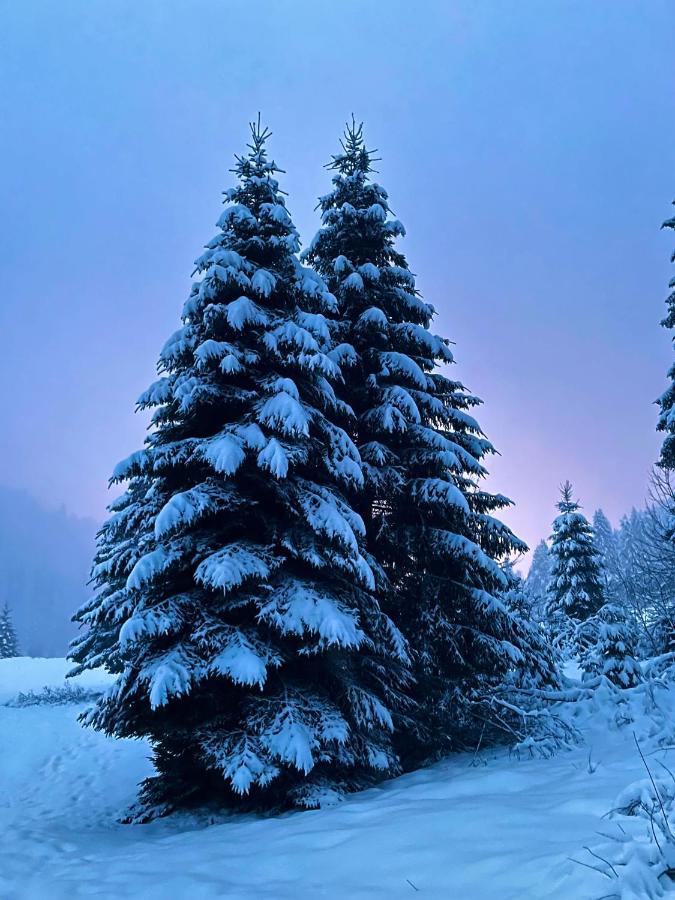 Chalet Des Feignes La Bresse Dış mekan fotoğraf