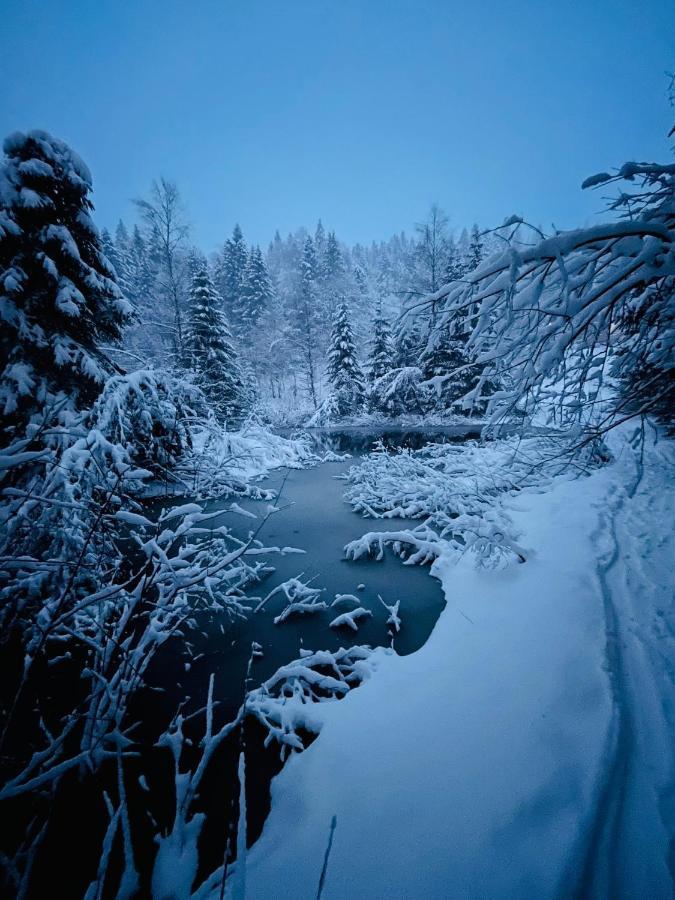 Chalet Des Feignes La Bresse Dış mekan fotoğraf