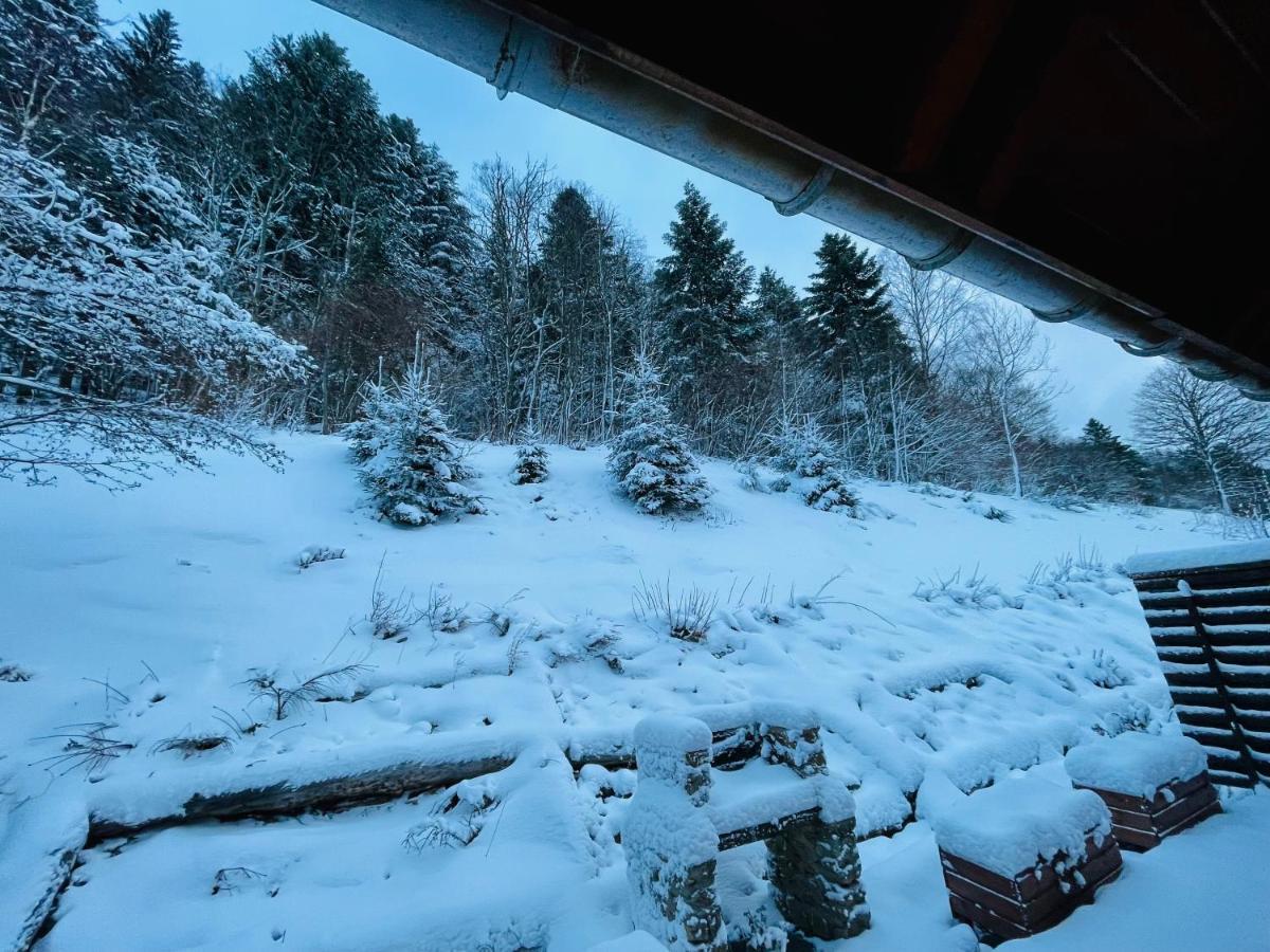Chalet Des Feignes La Bresse Dış mekan fotoğraf