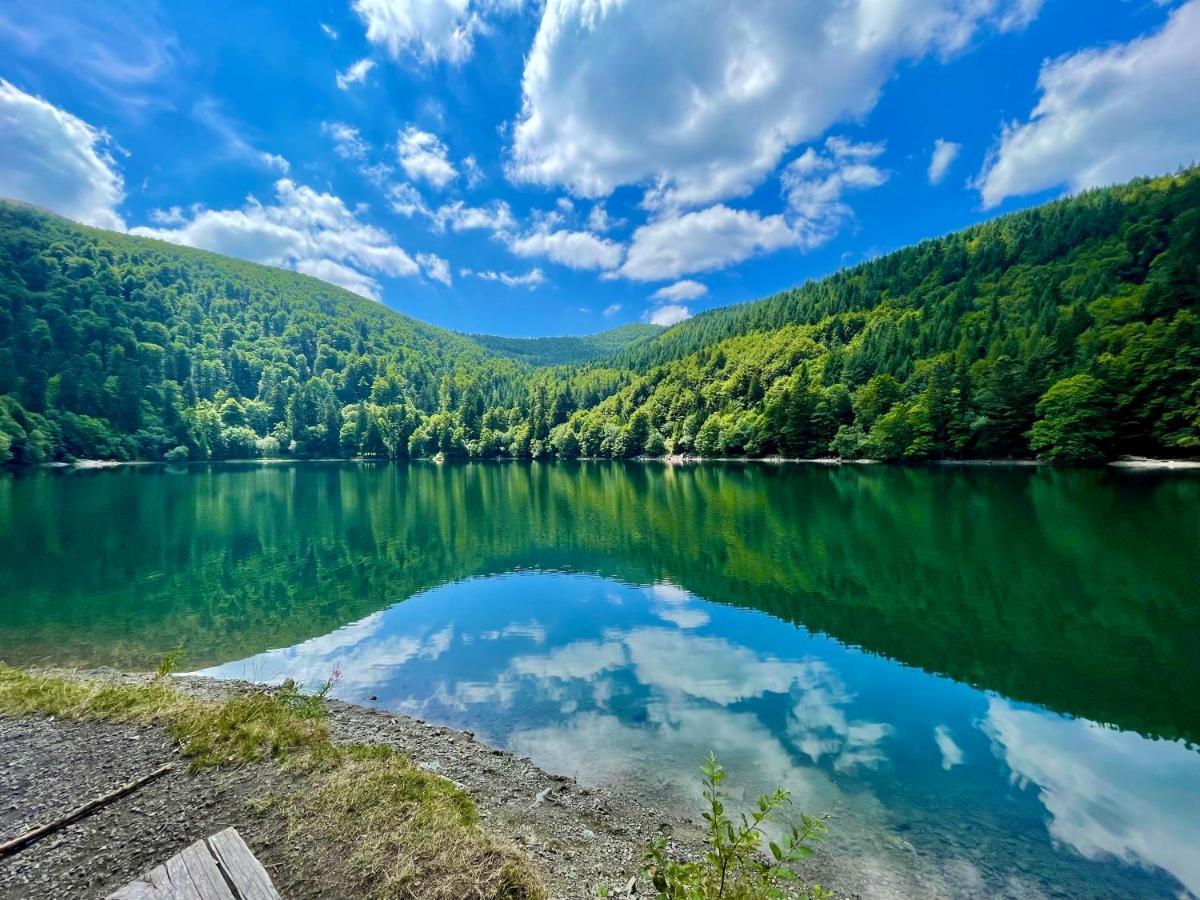 Chalet Des Feignes La Bresse Dış mekan fotoğraf